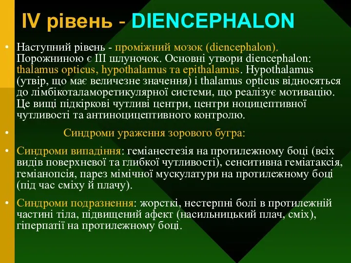 IV рівень - DIENCEPHALON Наступний рівень - проміжний мозок (diencephalon).