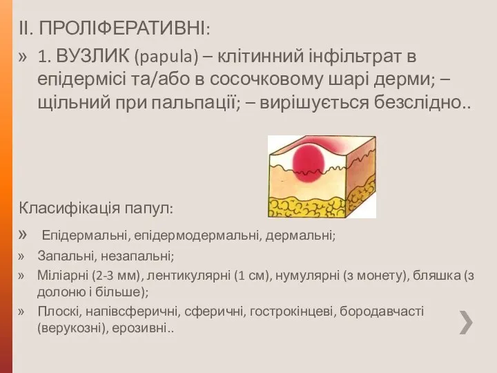 ІІ. ПРОЛІФЕРАТИВНІ: 1. ВУЗЛИК (papula) – клітинний інфільтрат в епідермісі та/або в сосочковому