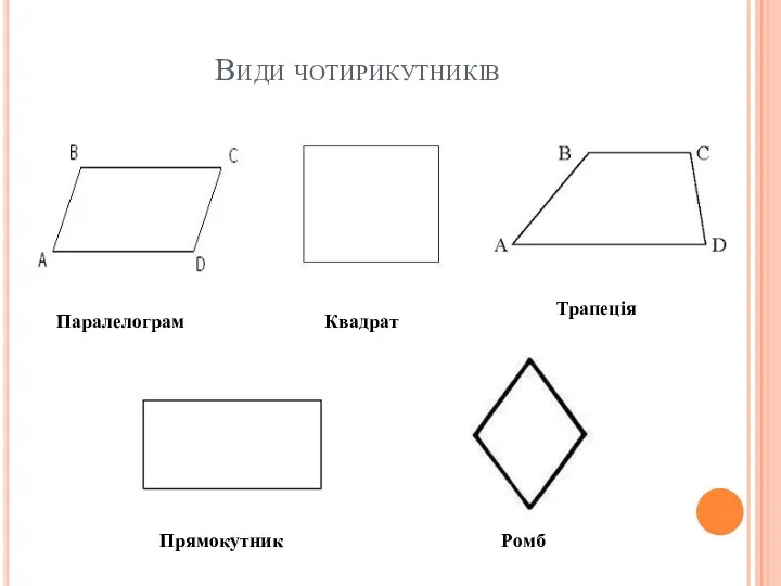 Види чотирикутників Паралелограм Квадрат Трапеція Прямокутник Ромб