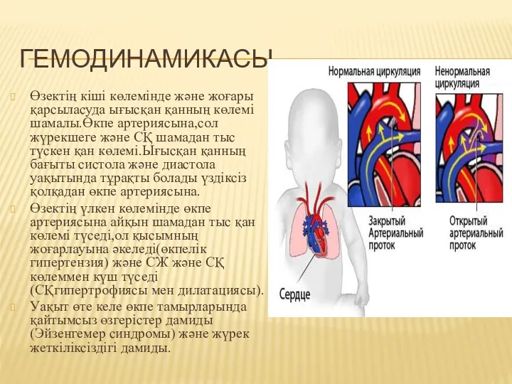 ГЕМОДИНАМИКАСЫ Өзектің кіші көлемінде және жоғары қарсыласуда ығысқан қанның көлемі шамалы.Өкпе артериясына,сол жүрекшеге