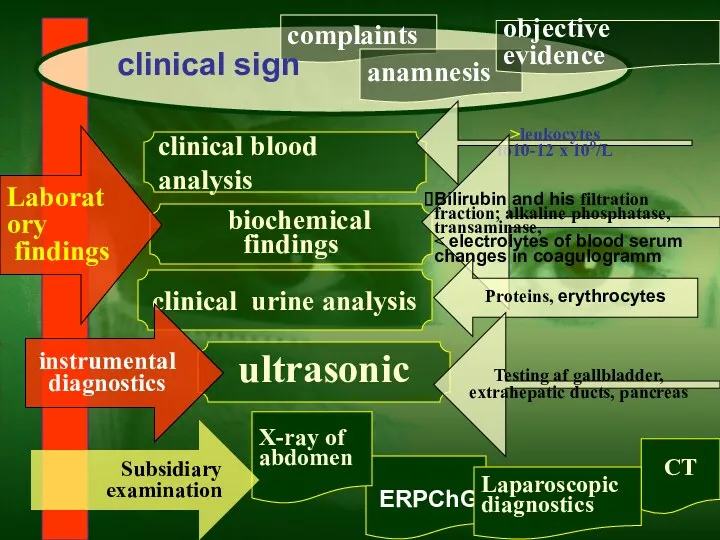 clinical blood analysis clinical urine analysis complaints anamnesis objective evidence