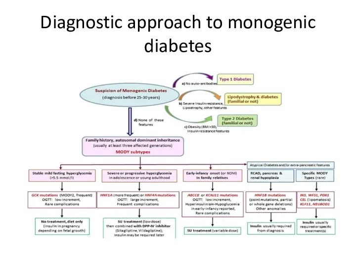 Diagnostic approach to monogenic diabetes