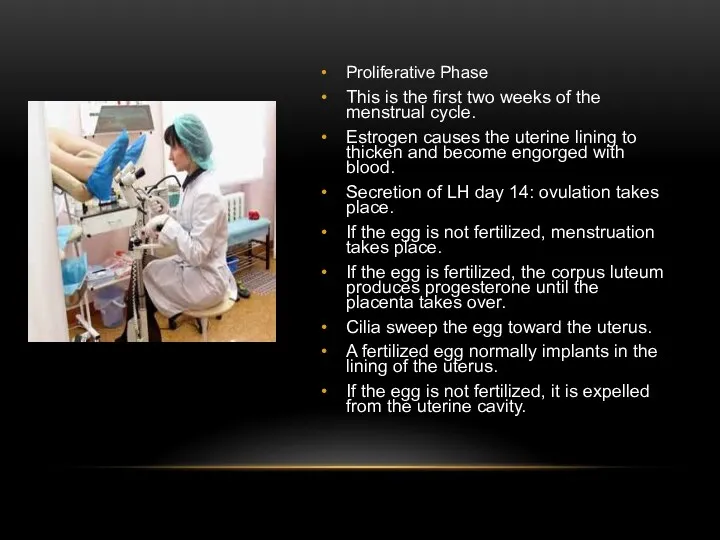 Proliferative Phase This is the first two weeks of the
