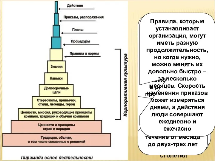 Ширина каждого слоя пирамиды пропорциональна продолжительности жизни соответствующего слоя Основание пирамиды - это