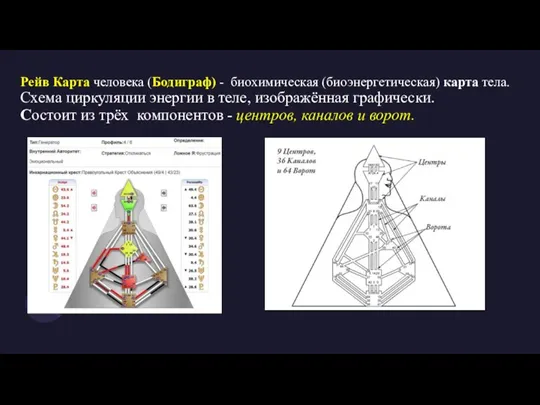 Рейв Карта человека (Бодиграф) - биохимическая (биоэнергетическая) карта тела. Схема