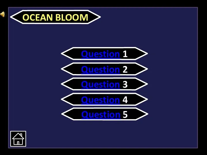 OCEAN BLOOM Question 1 Question 2 Question 3 Question 4 Question 5