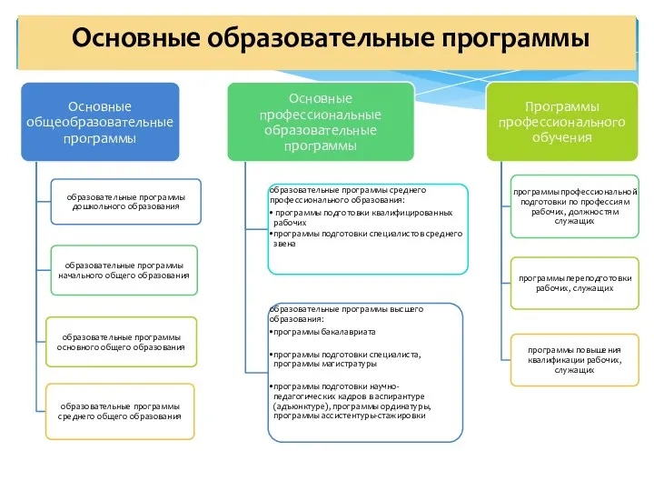 Основные образовательные программы