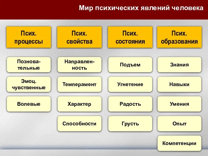 Мир психических явлений человека Псих. процессы Познова-тельные Псих. свойства Псих.