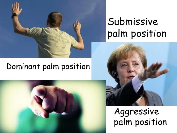 Submissive palm position Dominant palm position Aggressive palm position