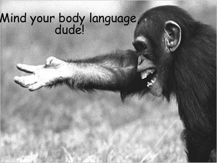 Mind your body language, dude!