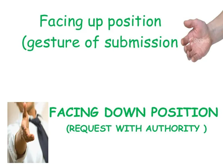 FACING DOWN POSITION (REQUEST WITH AUTHORITY ) Facing up position (gesture of submission)