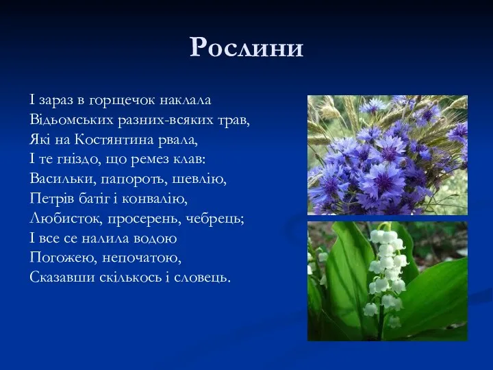 Рослини І зараз в горщечок наклала Відьомських разних-всяких трав, Які