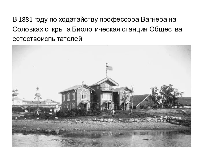 В 1881 году по ходатайству профессора Вагнера на Соловках открыта Биологическая станция Общества естествоиспытателей