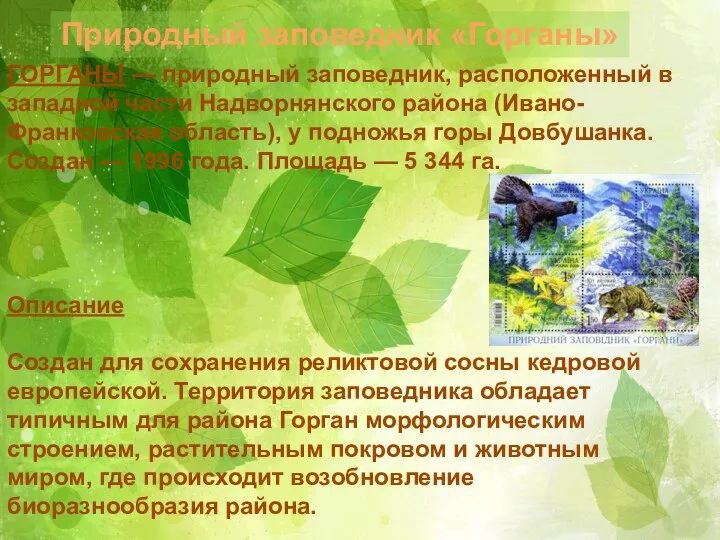 Природный заповедник «Горганы» ГОРГАНЫ — природный заповедник, расположенный в западной