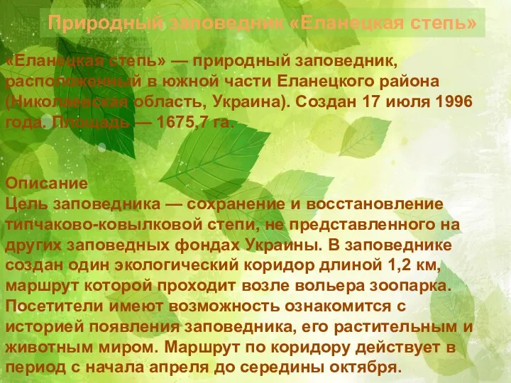 Природный заповедник «Еланецкая степь» «Еланецкая степь» — природный заповедник, расположенный