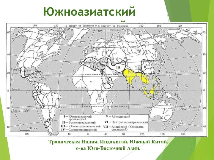 Южноазиатский тропический Тропическая Индия, Индокитай, Южный Китай, о-ва Юго-Восточной Азии.