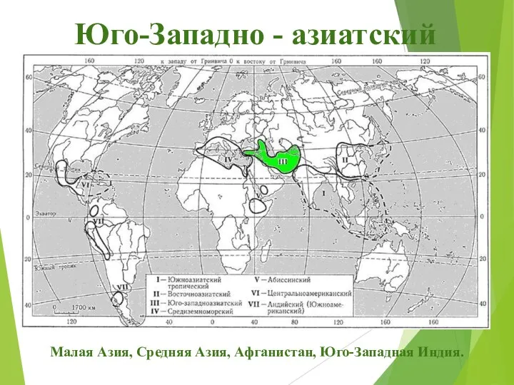 Юго-Западно - азиатский Малая Азия, Средняя Азия, Афганистан, Юго-Западная Индия.