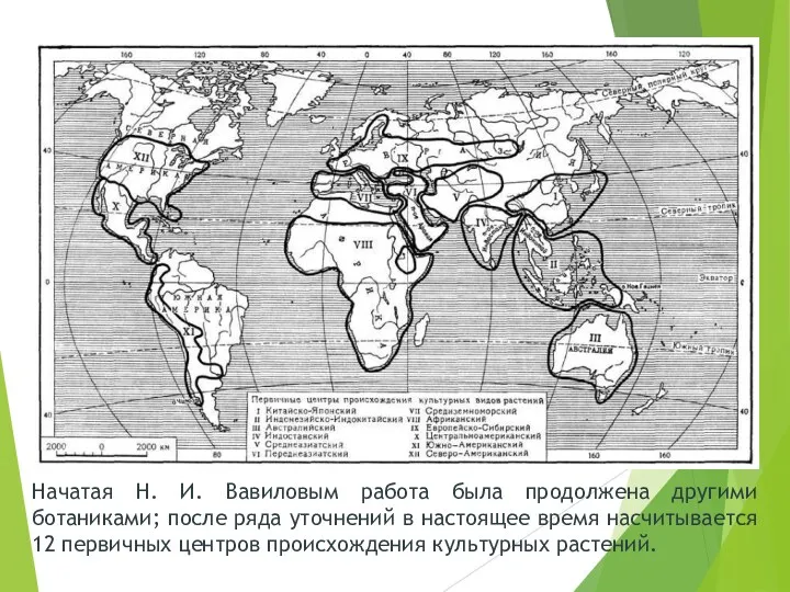 Начатая Н. И. Вавиловым работа была продолжена другими ботаниками; после