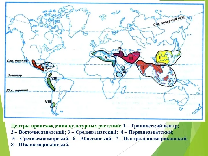 Центры происхождения культурных растений: 1 – Тропический центр; 2 –