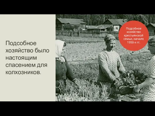 Подсобное хозяйство было настоящим спасением для колхозников. Подсобное хозяйство крестьянской семьи, начало 1950-х гг.