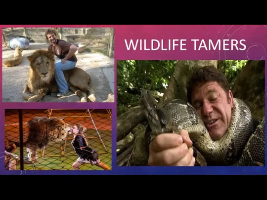 WILDLIFE TAMERS