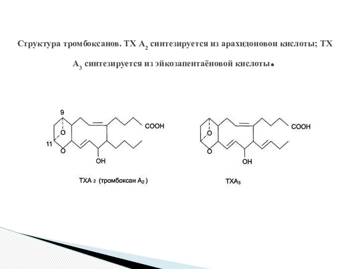 Структура тромбоксанов. ТХ А2 синтезируется из арахидоновои кислоты; ТХ А3 синтезируется из эйкозапентаёновой кислоты.