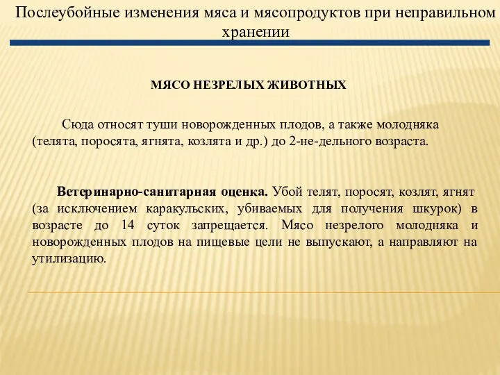 Послеубойные изменения мяса и мясопродуктов при неправильном хранении МЯСО НЕЗРЕЛЫХ