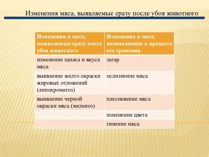 Изменения мяса, выявляемые сразу после убоя животного