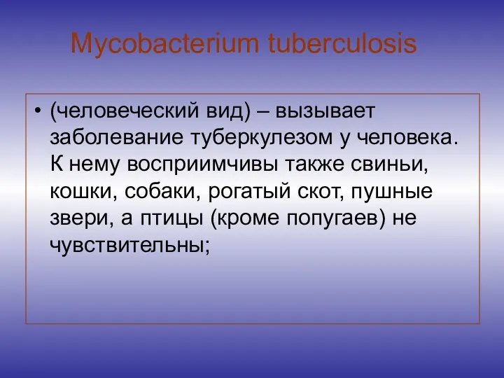 (человеческий вид) – вызывает заболевание туберкулезом у человека. К нему