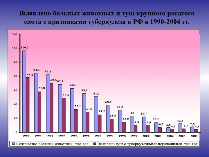 Выявлено больных животных и туш крупного рогатого скота с признаками туберкулеза в РФ в 1990-2004 гг.