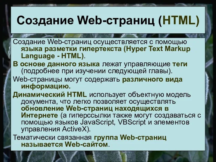Создание Web-страниц осуществляется с помощью языка разметки гипертекста (Hyper Text