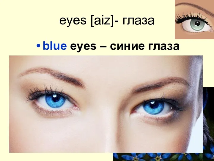 eyes [aiz]- глаза blue eyes – синие глаза