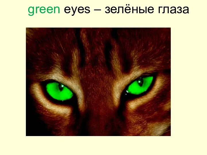 green eyes – зелёные глаза