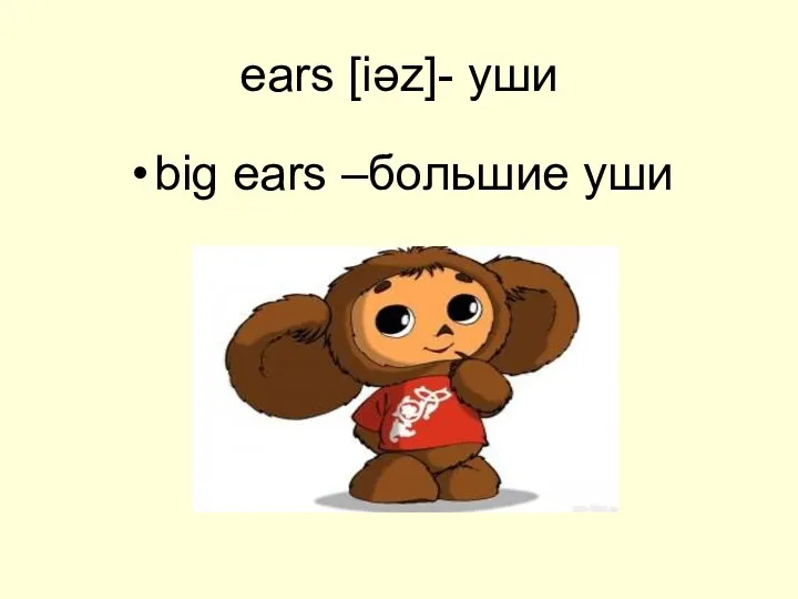 ears [iəz]- уши big ears –большие уши