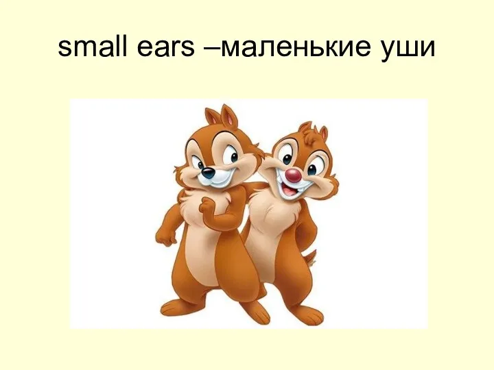 small ears –маленькие уши