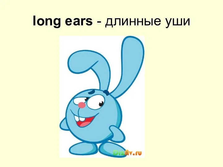 long ears - длинные уши