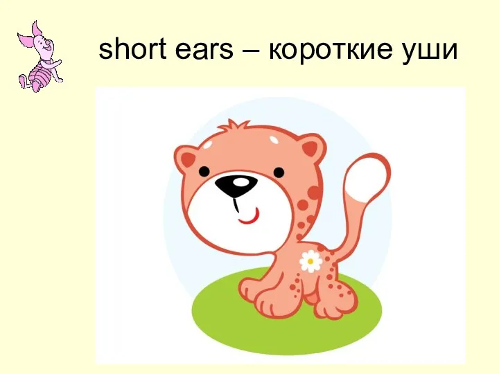 short ears – короткие уши