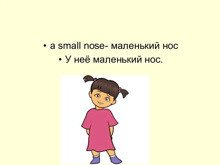 a small nose- маленький нос У неё маленький нос.