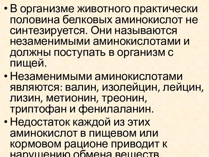 В организме животного практически половина белковых аминокислот не синтезируется. Они