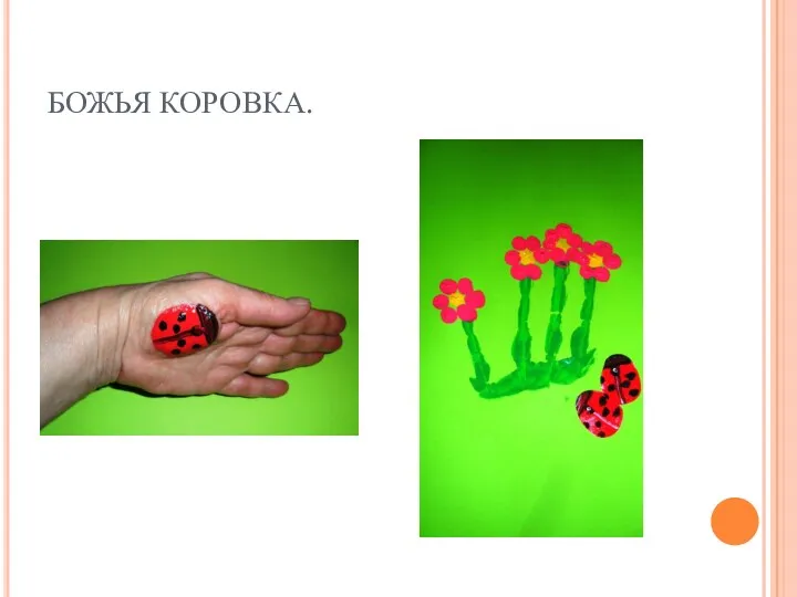 БОЖЬЯ КОРОВКА.