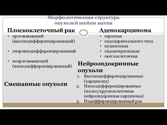 Морфологическая структура опухолей шейки матки Аденокарцинома серозная эндоцервикального типа муцинозная