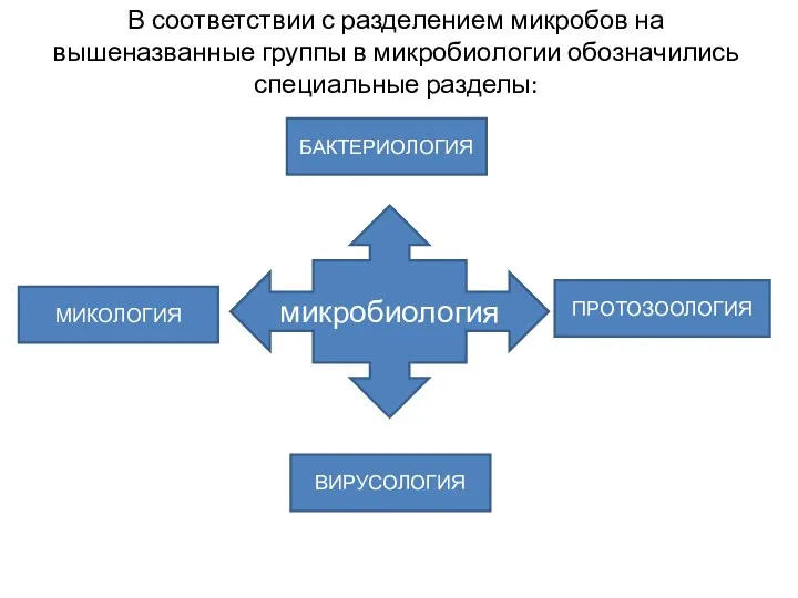 микробиология ВИРУСОЛОГИЯ БАКТЕРИОЛОГИЯ МИКОЛОГИЯ ПРОТОЗООЛОГИЯ В соответствии с разделением микробов