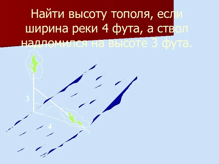 Найти высоту тополя, если ширина реки 4 фута, а ствол