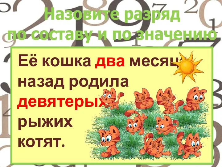 Её кошка два месяца назад родила девятерых рыжих котят. Назовите разряд по составу и по значению