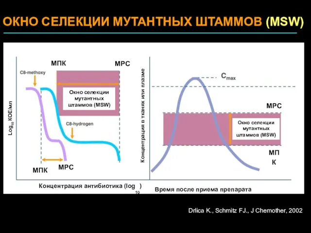 ОКНО СЕЛЕКЦИИ МУТАНТНЫХ ШТАММОВ (MSW) Drlica K., Schmitz FJ., J