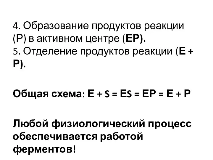 4. Образование продуктов реакции (Р) в активном центре (ЕР). 5.