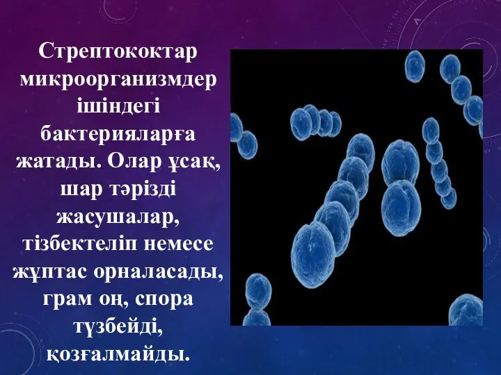 Стрептококтар микроорганизмдер ішіндегі бактерияларға жатады. Олар ұсақ, шар тәрізді жасушалар,