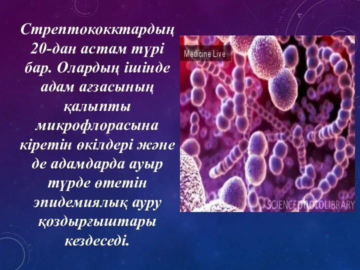 Стрептококктардың 20-дан астам түрі бар. Олардың ішінде адам ағзасының қалыпты