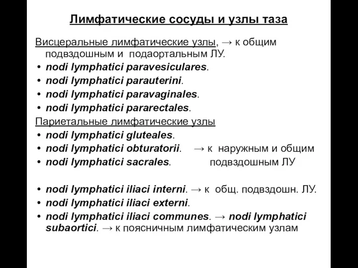 Лимфатические сосуды и узлы таза Висцеральные лимфатические узлы, → к