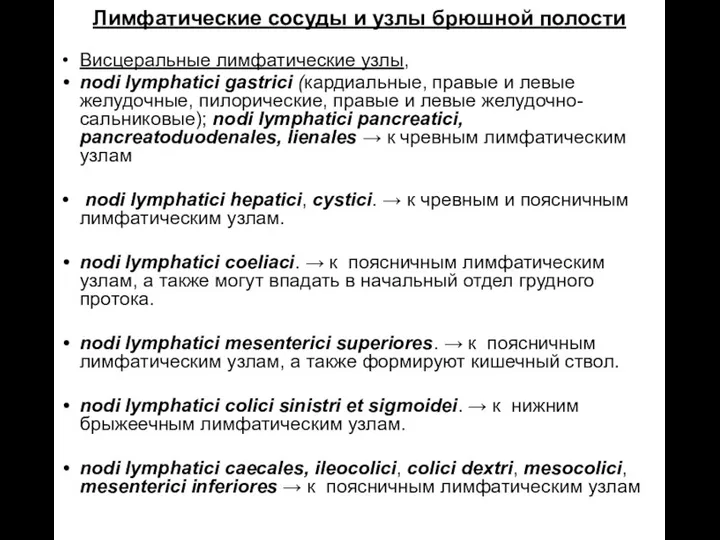 Лимфатические сосуды и узлы брюшной полости Висцеральные лимфатические узлы, nodi